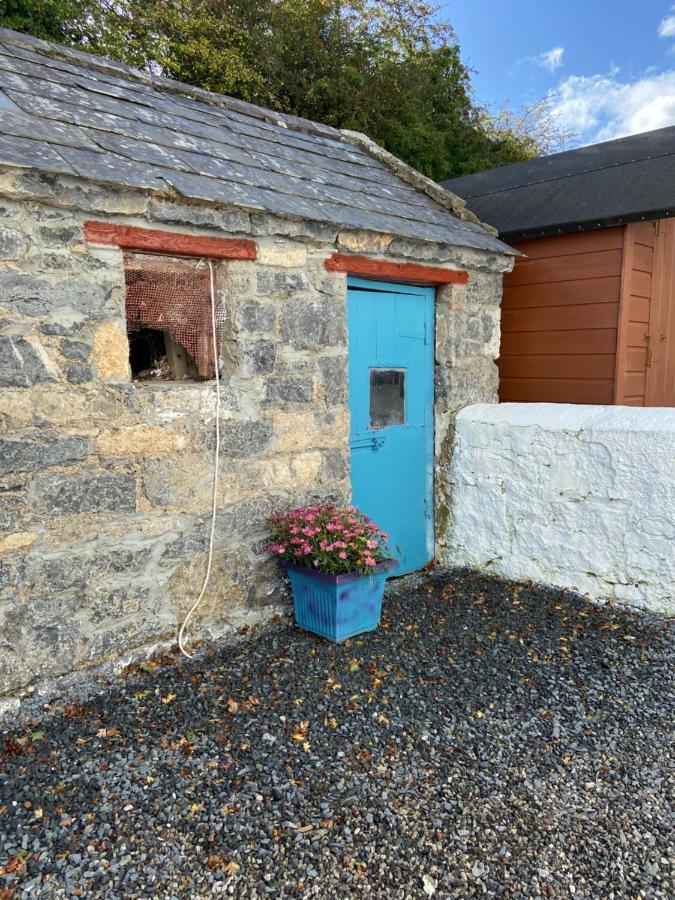 Katie'S Cottage Limerick Junction Exterior foto